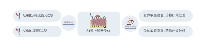 圖片1.png 圖片1.png